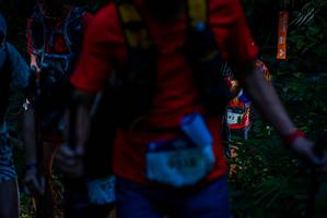 BIB: 
                            <button type="button" onclick="openModal(19309396)" class="btn btn-primary btn-sm float-right btn-popup" data-toggle="modal" data-target=".modal-high-quality">
                        <i class="fas fa-shopping-cart"></i> Add to Cart
                    </button>
                                            <button type="button" onclick="isThisMe(19309396, true)" class="btn btn-success btn-sm float-right btn-popup btn-isme hidden" data-toggle="tooltip" data-placement="bottom" title="นี่คือรูปของคุณใช่ไหม คลิกที่นี่เพื่อเอาเข้าอัลบั้ม">
                        <i class="fas fa-plus"></i> Add to album
                    </button>
                    <button type="button" onclick="isThisMe(19309396, false)" class="btn btn-warning btn-sm float-right btn-popup btn-isnotme hidden">
                        <i class="fas fa-ban"></i> Remove from album
                    </button>